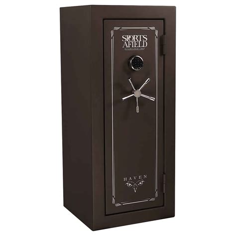 small rifle gun safe walmart